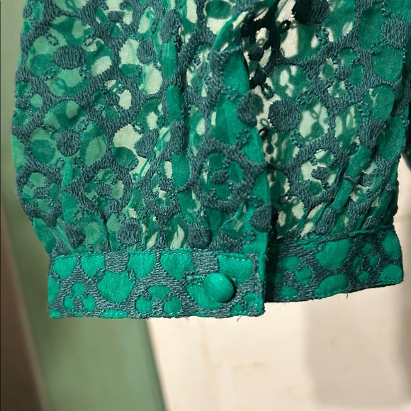 NWT Boden Midi Dress Fit-N-Flare Green Eyelet Lace Empire Waist - Picture 9 of 16